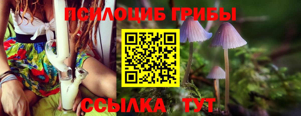 Галлюциногенные грибы MAGIC MUSHROOMS  где купить наркоту  Псилоцибиновые грибы Cubensis  Назарово  Вход с VPN 
